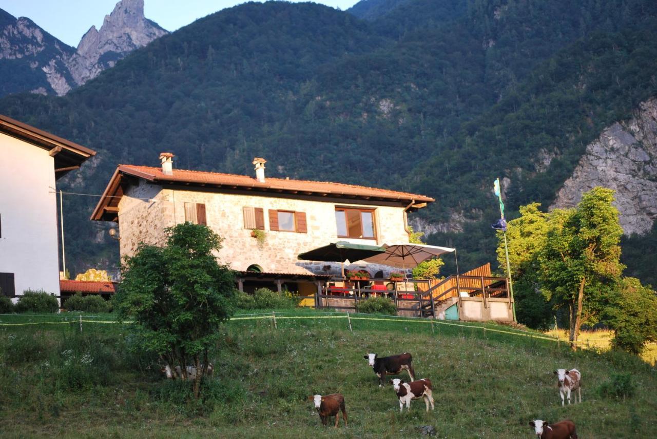 Rifugio Malga Grasia Caprizi Exterior foto